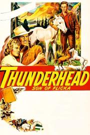 Thunderhead: Son of Flicka filmas