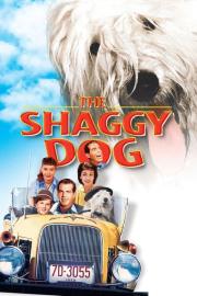 The Shaggy Dog filmas