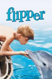 Flipper filmas