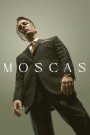 Moscas filmas