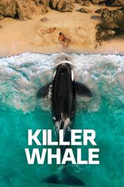 Killer Whale filmas