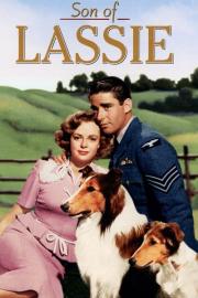 Son of Lassie filmas