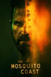 Uodų pakrantė filmas