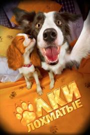 Gauruotos eglutės filmas