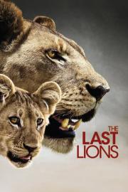The Last Lions filmas