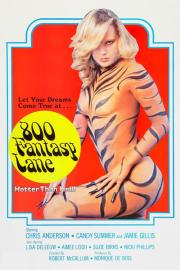 800 Fantasy Lane filmas