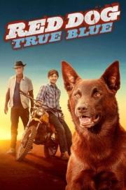 Red Dog: True Blue filmas