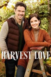 Harvest Love filmas