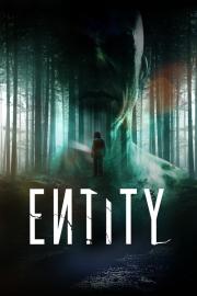 Entity filmas