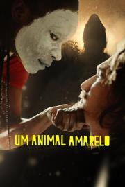 Um Animal Amarelo filmas