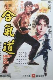 Hapkido filmas