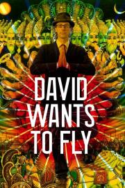David Wants to Fly filmas
