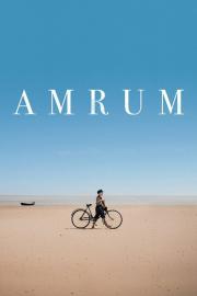 Amrum filmas