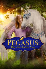 Pegasus: Pony With a Broken Wing filmas