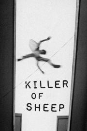 Killer of Sheep filmas