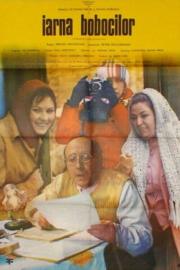 Iarna bobocilor filmas