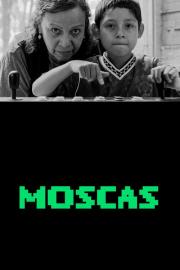 Moscas filmas