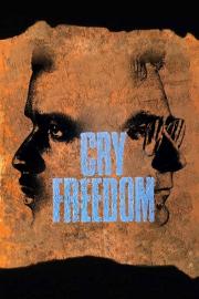 Cry Freedom filmas