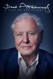 David Attenborough: A Life on Our Planet filmas