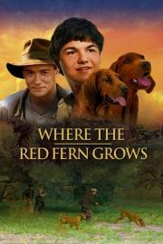 Where the Red Fern Grows filmas