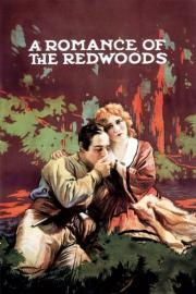 A Romance of the Redwoods filmas