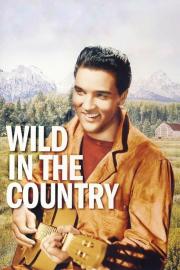 Wild in the Country filmas