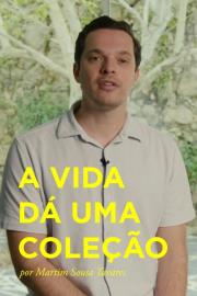 A Vida dá uma Coleção filmas