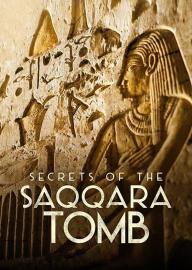 Secrets of the Saqqara Tomb filmas