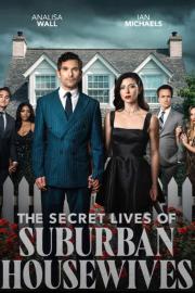 The Secret Lives of Suburban Housewives filmas