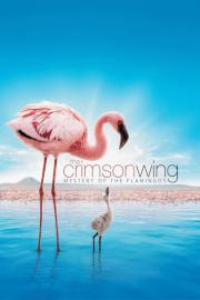 The Crimson Wing: Mystery of the Flamingos filmas