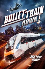 Bullet Train Down filmas