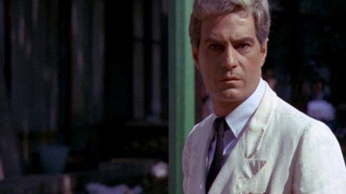 Italian Secret Service filmas žiurėti online