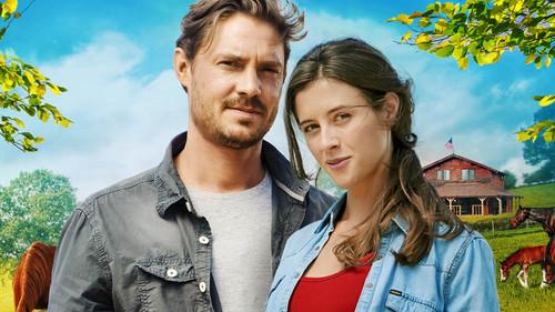 Valley Of Love filmas žiurėti online