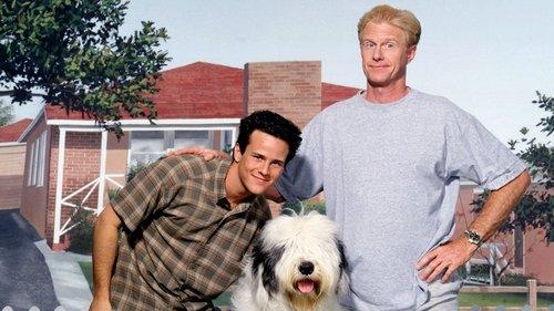 The Shaggy Dog filmas žiurėti online