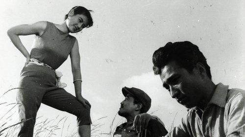 The Flower in Hell filmas žiurėti online