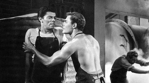 Cry Tough filmas žiurėti online