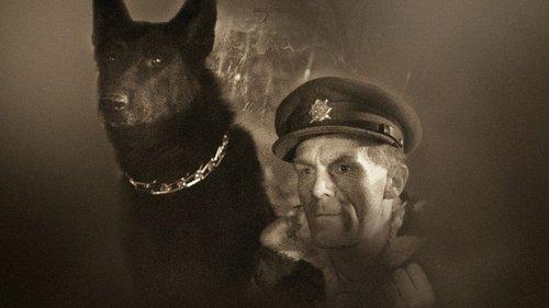 King of the Sumava filmas žiurėti online