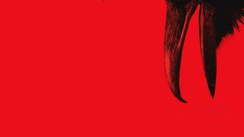 The Beldham filmas žiurėti online