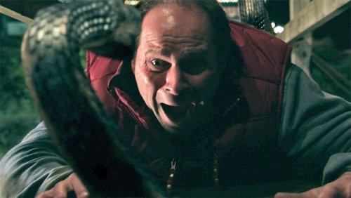 Vipers filmas žiurėti online