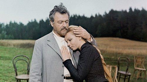 Чайка filmas žiurėti online