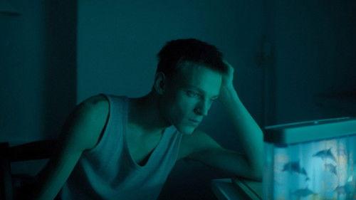 Matecznik filmas žiurėti online