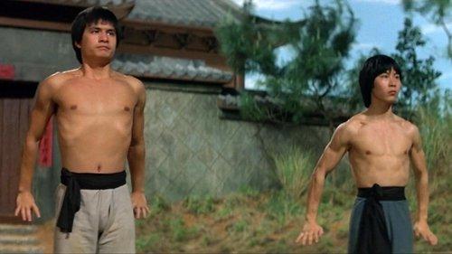 The New Shaolin Boxers filmas žiurėti online