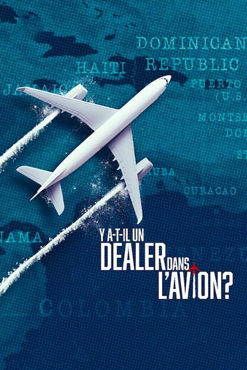 Y a-t-il un dealer dans l'avion ? filmas online