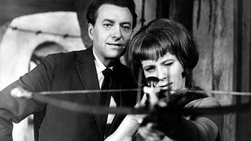 Where Is the Third King? filmas žiurėti online