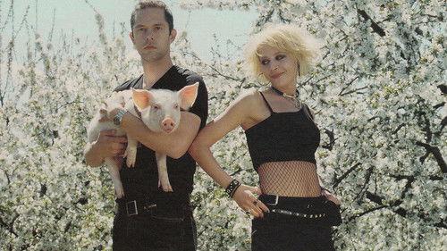 Honey and the Pig filmas žiurėti online