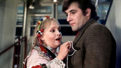 At Night All Cats Are Crazy filmas žiurėti online