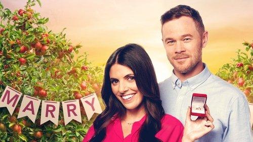 Amžinos meilės paieškos filmas žiurėti online