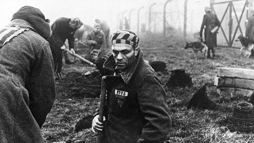 Люди и звери filmas žiurėti online