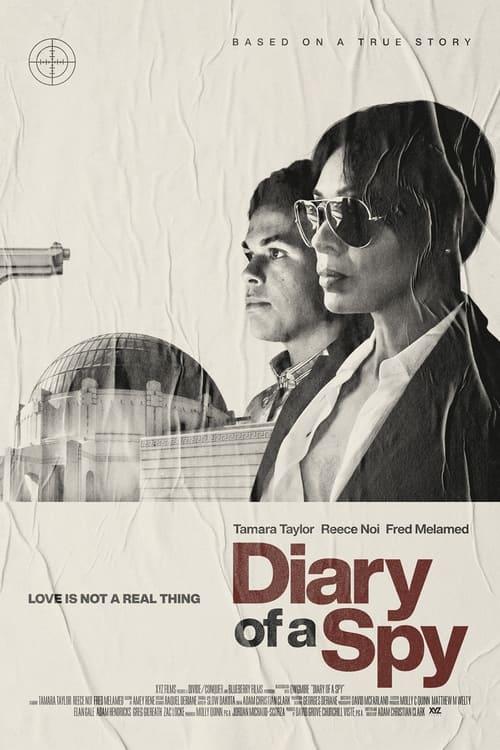 Diary of a Spy filmas online