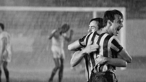 Heleno filmas žiurėti online